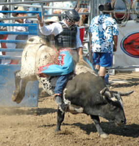 Western Rodeo oder Bullriding